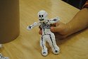 dd fig 6