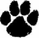 paw